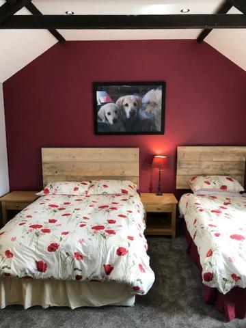 Holywell Grange Farm Villa Whitley Bay Exteriör bild